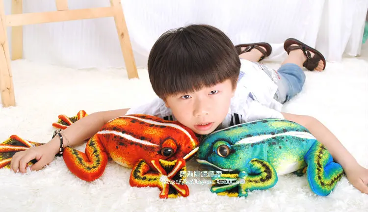 frog 50cm 12