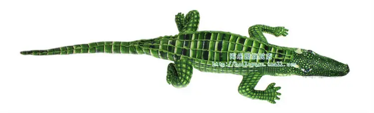 crocodile 01