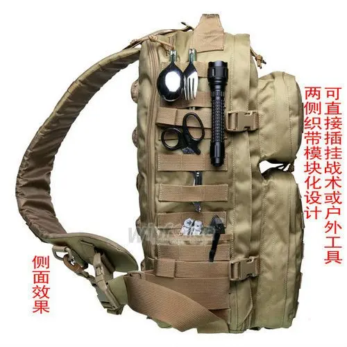 WS-10 _9