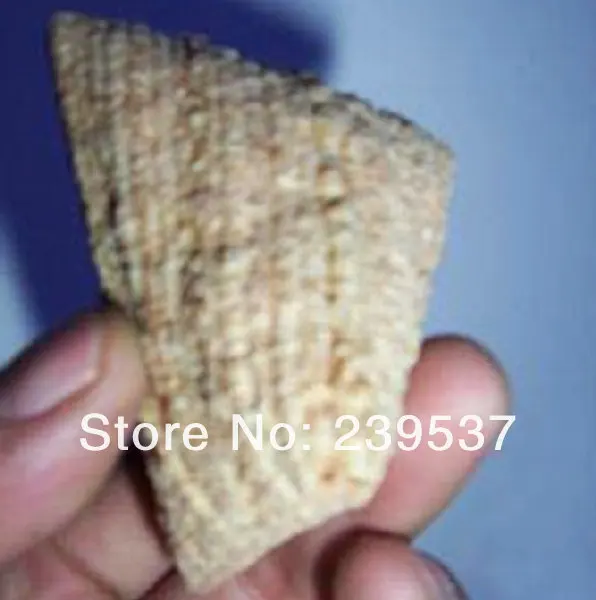 flour puffed snack extruder, puffed food extrusion, wheat puffing food (13).jpg