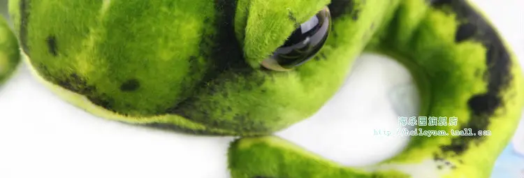 frog 50cm 04