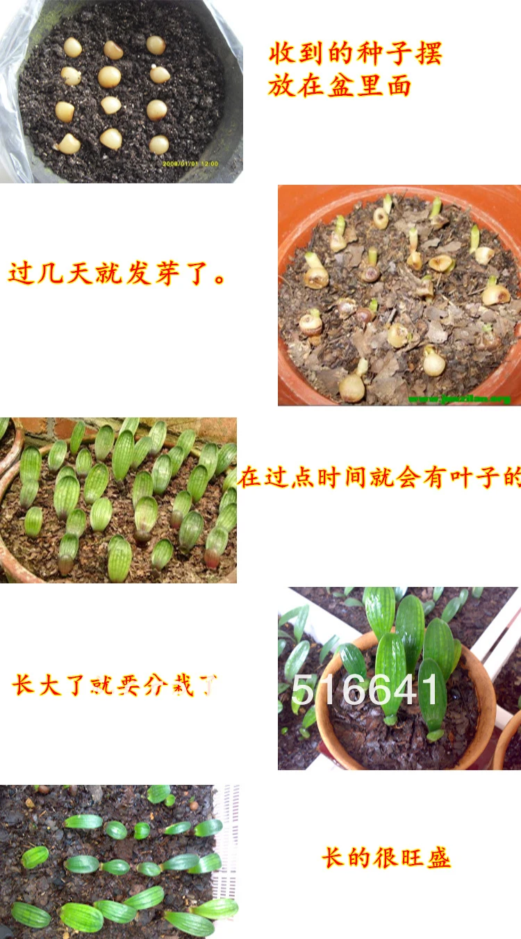 T2kKiOXclbXXXXXXXX_!!1058590003.jpg