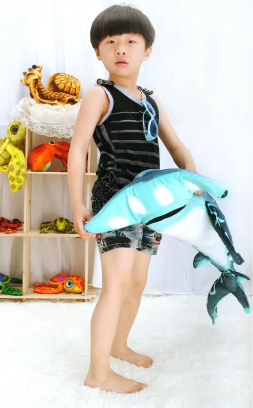 Hammerhead sharks 09