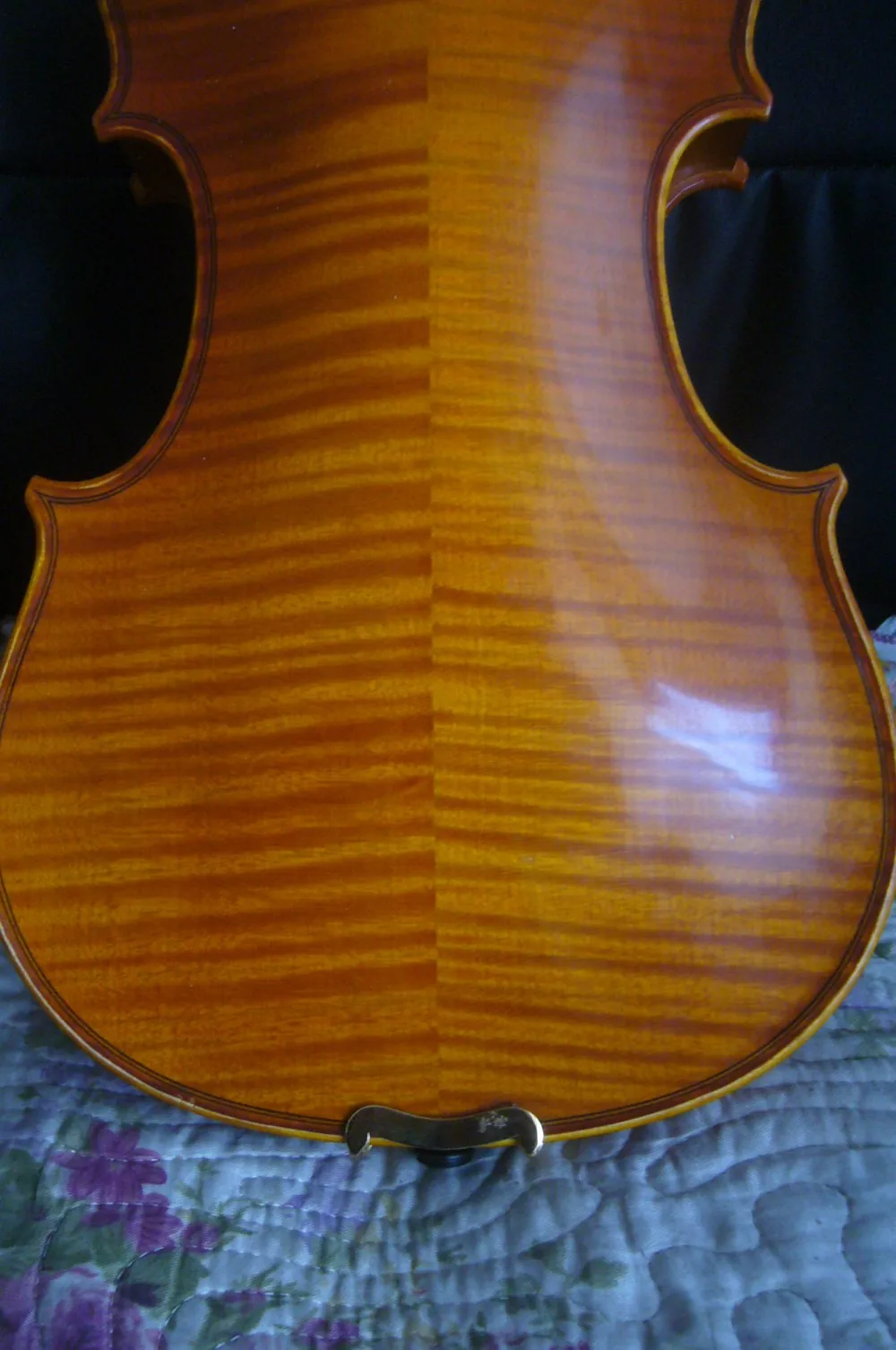 P1300894