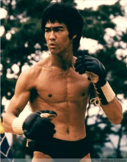 bruce lee mma gloves