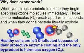 ozone work