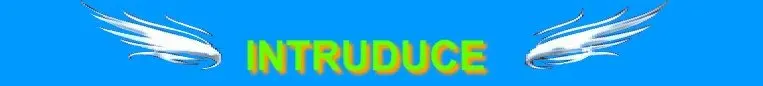 intruduce