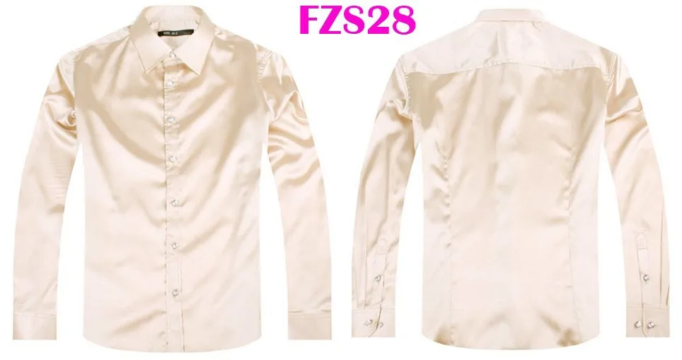 FZS28