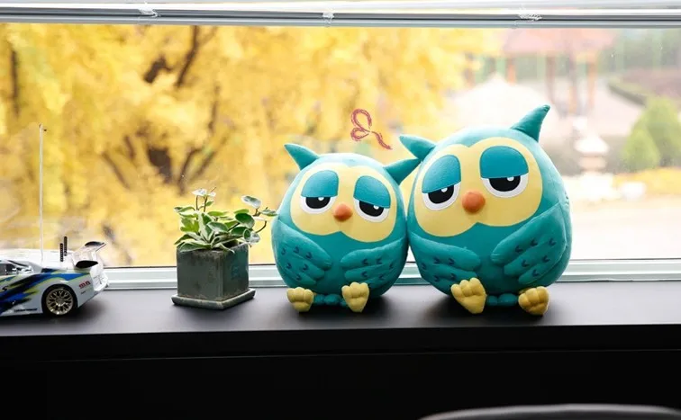 aeProduct.getSubject()