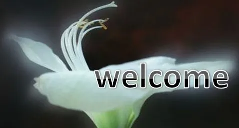 23YMO0B~Y0GTEI00$R$%IYS