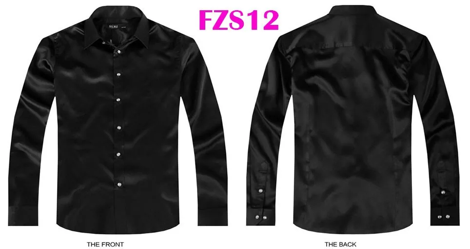 FZS12