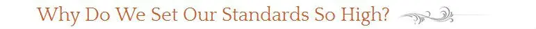 Why Do We Set Our Standards So High