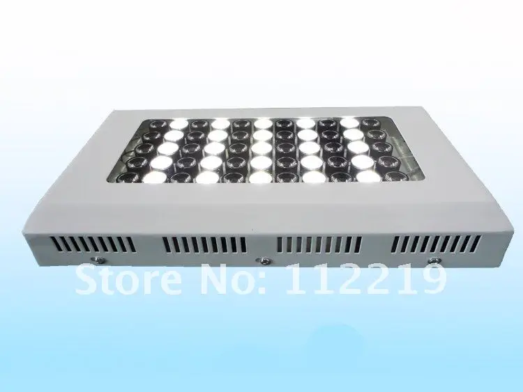 55-3W  Aquarium lights 3.jpg