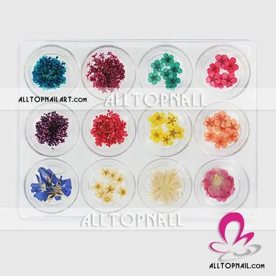 dry-flower-set