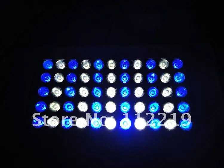 55-3W  Aquarium lights 9.jpg
