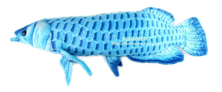 gold arowana 01