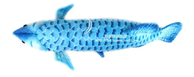 gold arowana 02