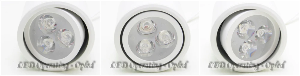 professional lighting diamond lens led grow lights china - Easy Grow LED bloom flower light  high power led grow light 2013 (2).jpg