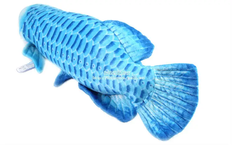 gold arowana 05