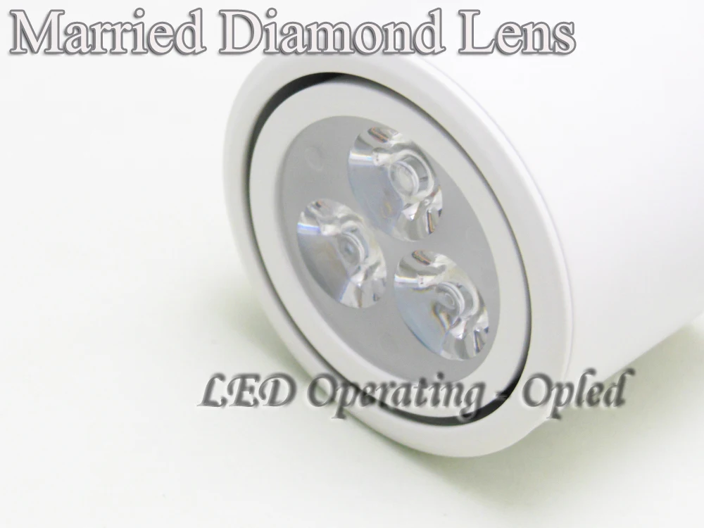 professional lighting diamond lens led grow lights china - Easy Grow LED bloom flower light  high power led grow light 2013.jpg