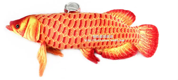 gold arowana 06