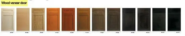 wood veneer door.jpg
