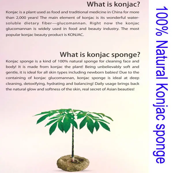 what is konjac