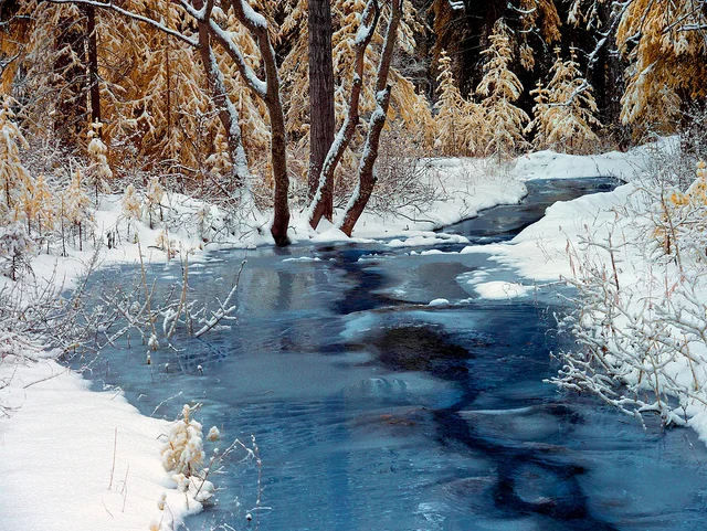 Winter Arrived - 590nm IR, Colors Swapped by Mikofox on Flickr.Always wonderful color and IR photos with ROCOLAX filters. More details, check www.uvircut.com