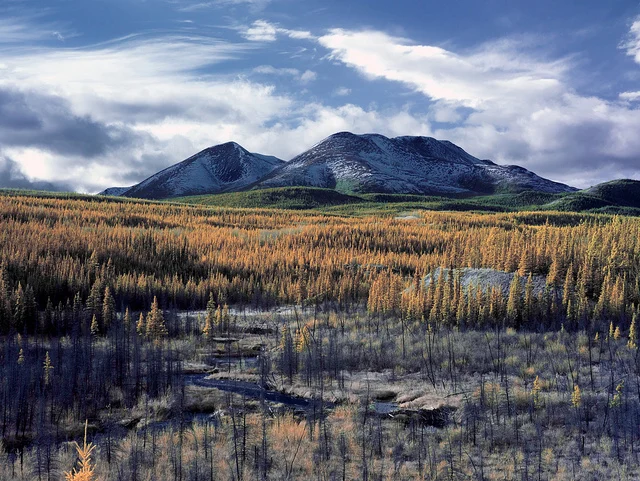 Little Peak Mountain - 590nm IR by Mikofox on Flickr.LOVE IT!
