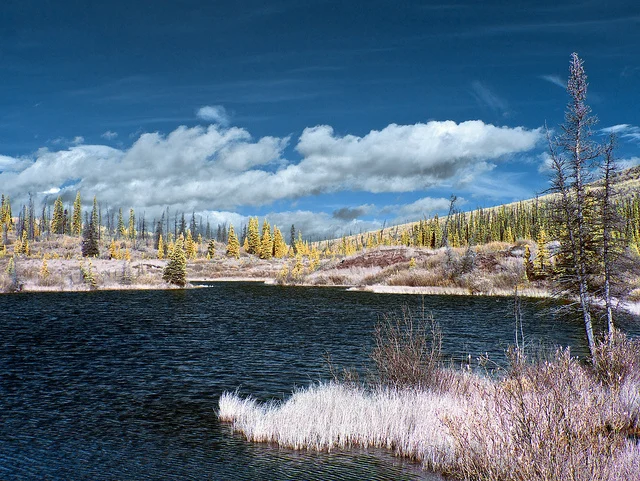 The Hunting Grounds - 590nm IR by Mikofox on Flickr.Beatiful Lake.