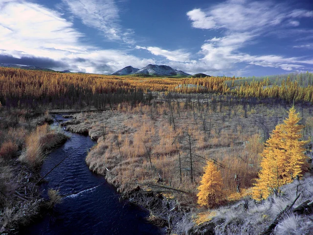 Little Peak Mountain and Fox Creek - 590nm IR by Mikofox on Flickr.Wonderful IR Photos, beatiful color.