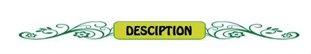 discribtion_351