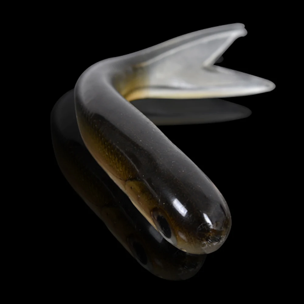 95mm 6.5g 6pcs/lot 3D Hollow Lure Promotional New ...