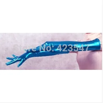 Free Shipping Blue Shiny Metallic Accessories Zent...