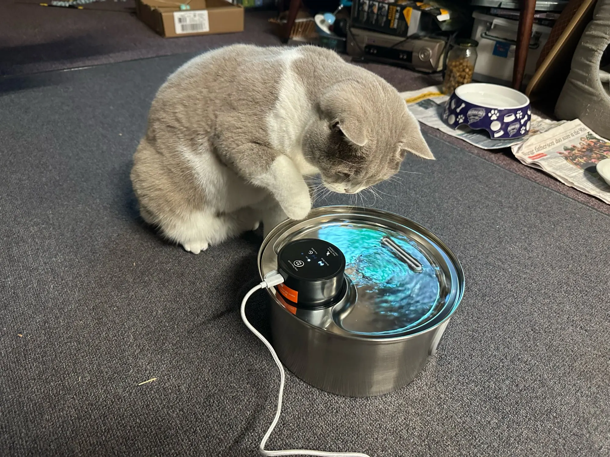 108oz/3.2L Stainless Steel Wireless Cat and Dog Drinker Rechargeable Automatic Pet Drinker Water Fountain Motion Sensor Bowl photo review