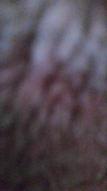 FrostShield Handschuhe – Warm, Wasserdicht & Reflektierend für jedes Winterabenteuer photo review