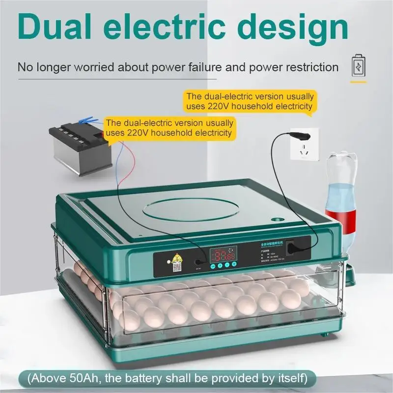 Egg trays fitting various bird egg sizes