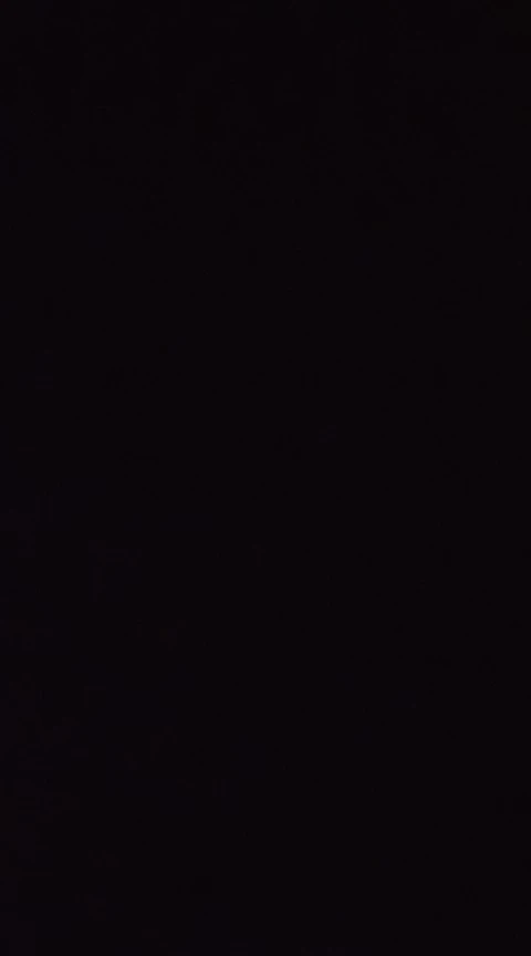 WiFi USB Dongles and TYPE C OTG Adaptor For R36 Consoles photo review