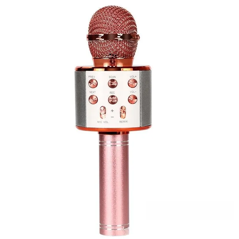 Haut-parleur Bluetooth karaoké vintage microphone sans fil