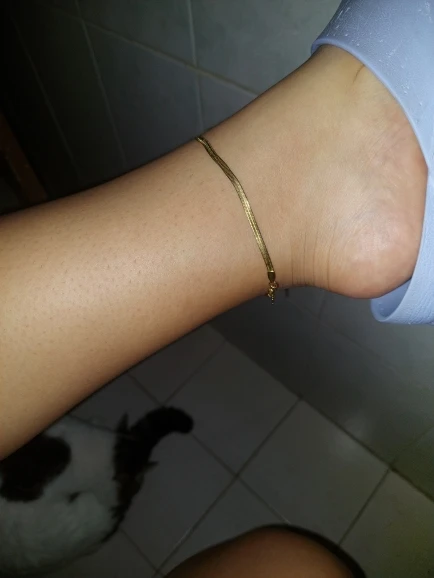 Simple Stainless Steel Gold Color Blade Chain Anklet photo review