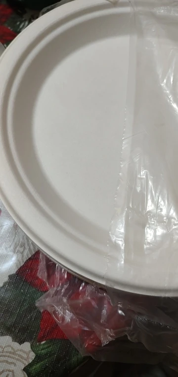 50 Disposable Plates Paperd and Spoon 100% Biodegradable Heavy-Duty Natural Sugarcane Bag-Like Fibers Tableware Compostable photo review