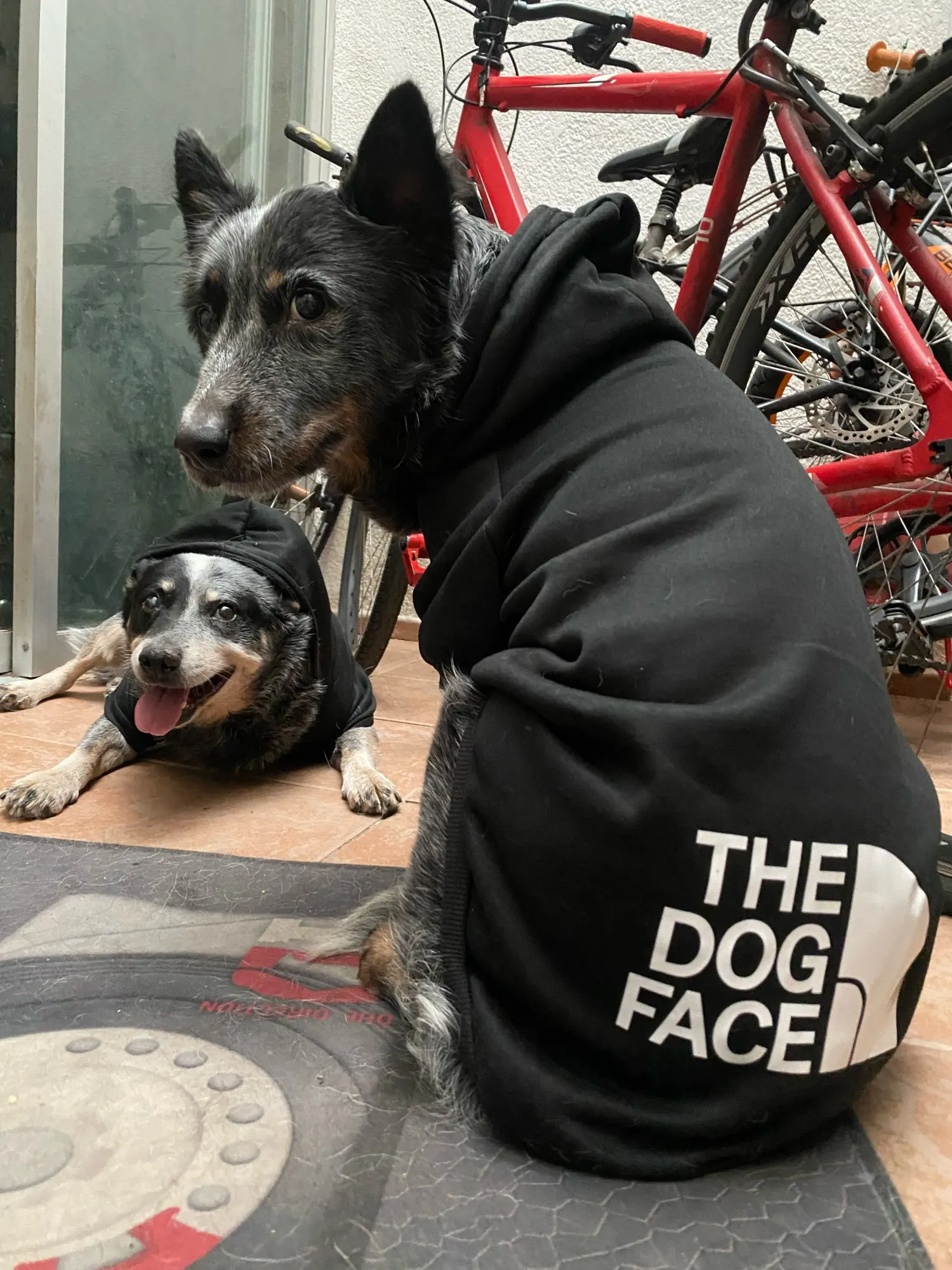 Sudadera Para Perros "THE DOG FACE"