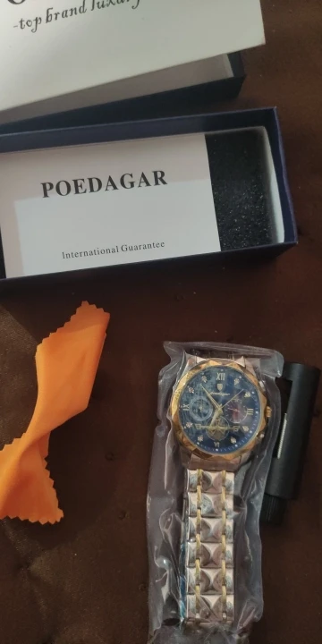 POEDAGAR Luxury Watch for Men photo review