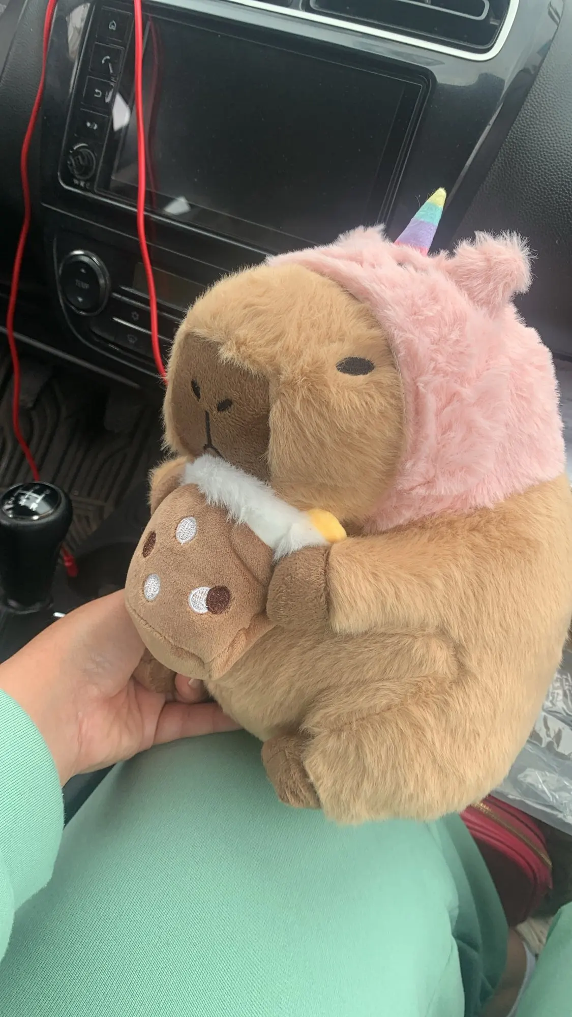 Kawaii Capybara Plushies - Bread & Flower Edition photo review