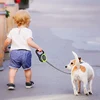 Pet dog leash dog automatic retractable leash automatic retractable leash dog walking rope dog chain dog outdoor supplies 2