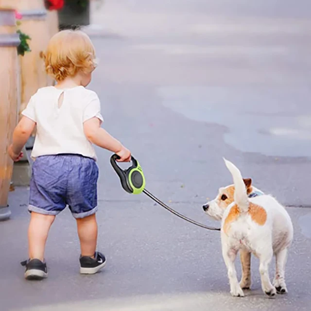 Pet dog leash dog automatic retractable leash automatic retractable leash dog walking rope dog chain dog outdoor supplies 2