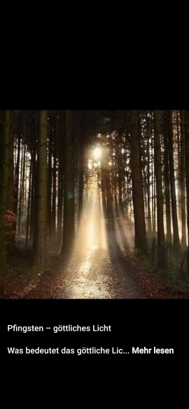 JJYY Beer Homebrew Filter Bag for Brewing Malt Boiling Wort Mash Strainer Tool photo review