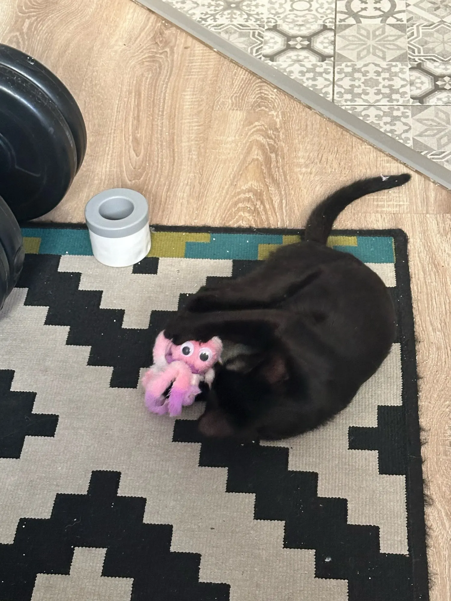 Cute octopus cat toys for kittens and young cats, cat toys for chewing, plush toys, pet supplies photo review