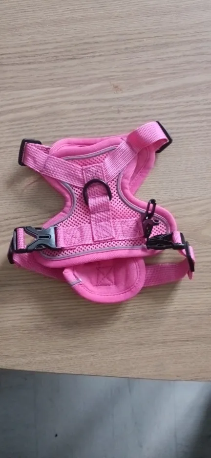 Halsband - Verstellbar, Reflektierend & Komfortabel für kleine Hunde und Katzen photo review