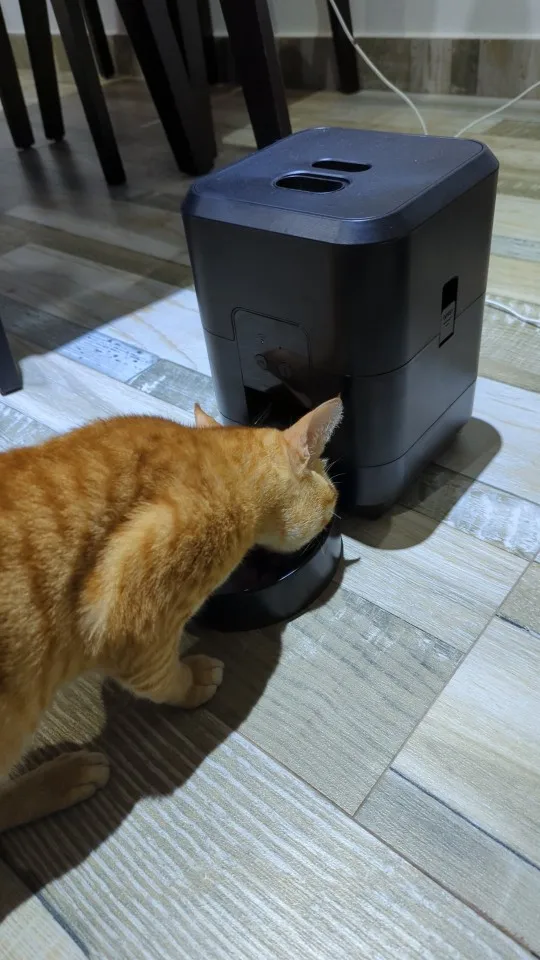 موزع طعام اَلي للكلاب و القطط قابل لتحديد أوقات الوجبات